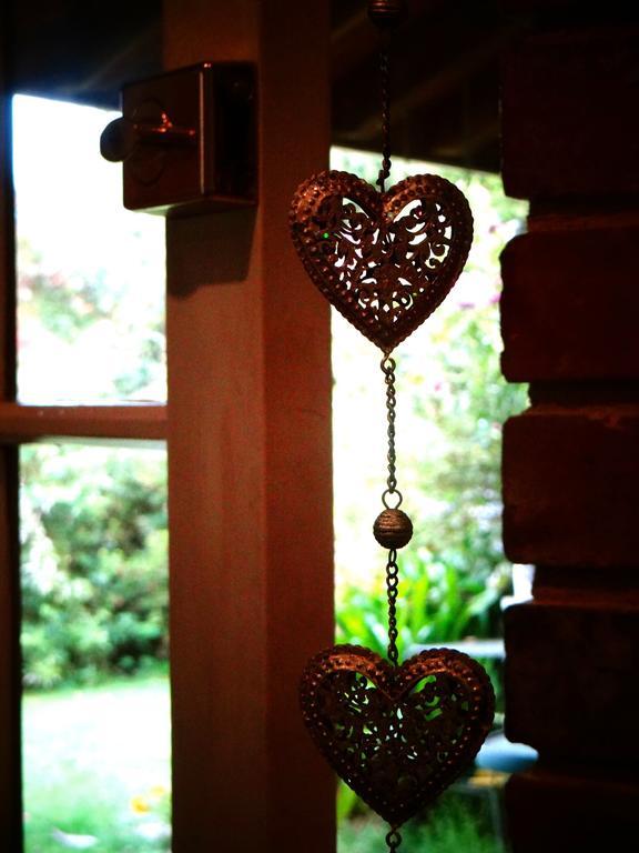 Arden Country House Waitati Екстериор снимка