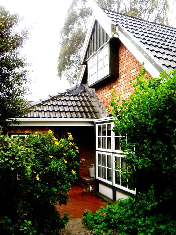 Arden Country House Waitati Екстериор снимка